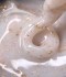 Гел за изграждане Dark Medium Potal Gel №04 15 мл
