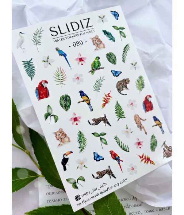Слайдер Slidiz №080