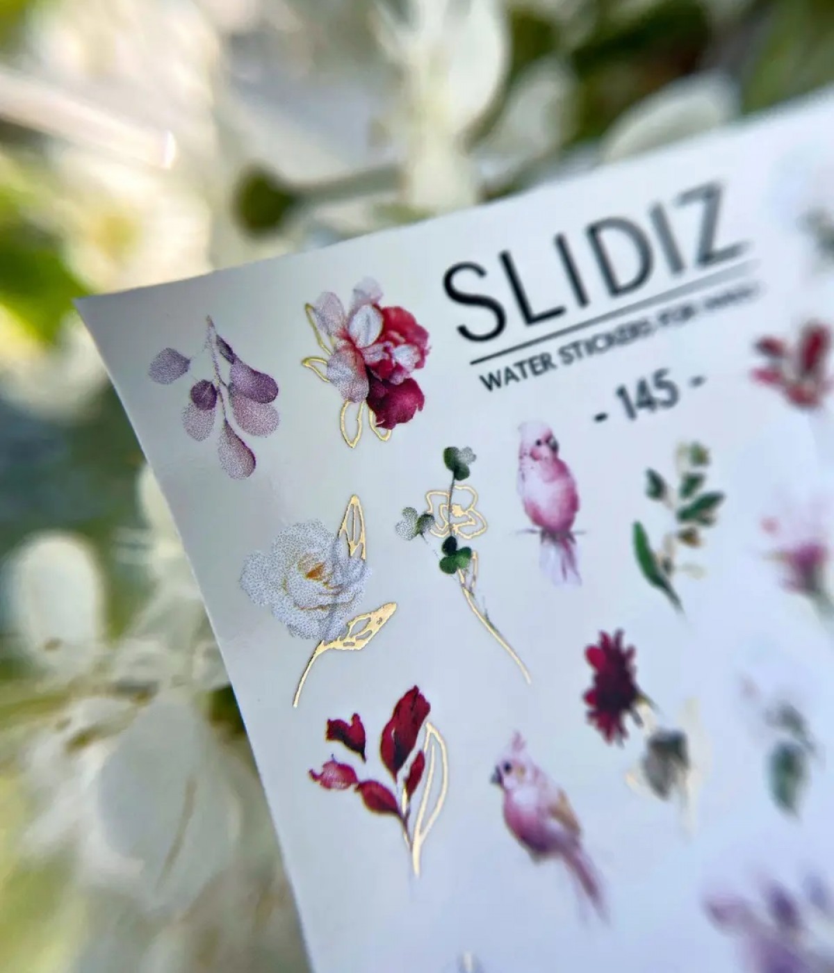 Слайдер Slidiz №145