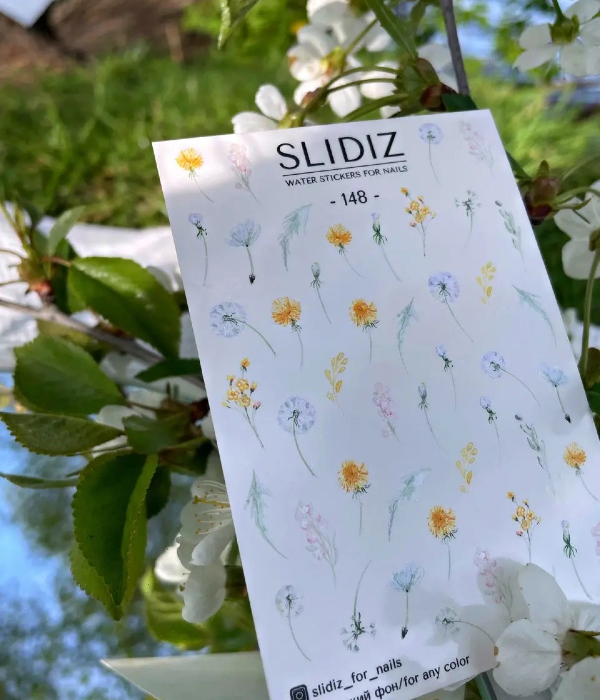 Слайдер Slidiz №148