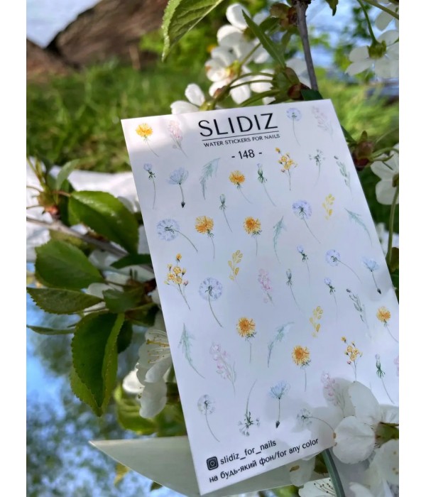 Слайдер Slidiz №148