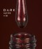 Гел лак Dark Cat Eye №06 10 мл