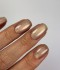 Гел лак Dark Cat Eye №12 6 мл
