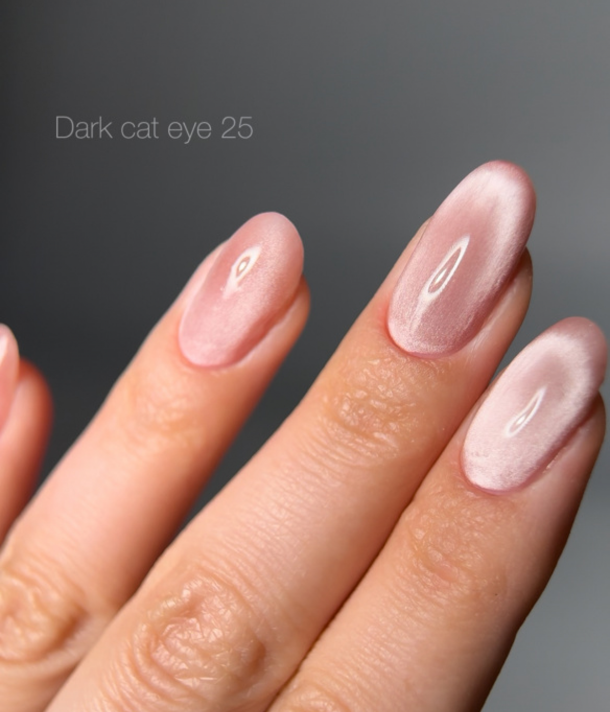 Гел лак Dark Cat Eye №25 10 мл