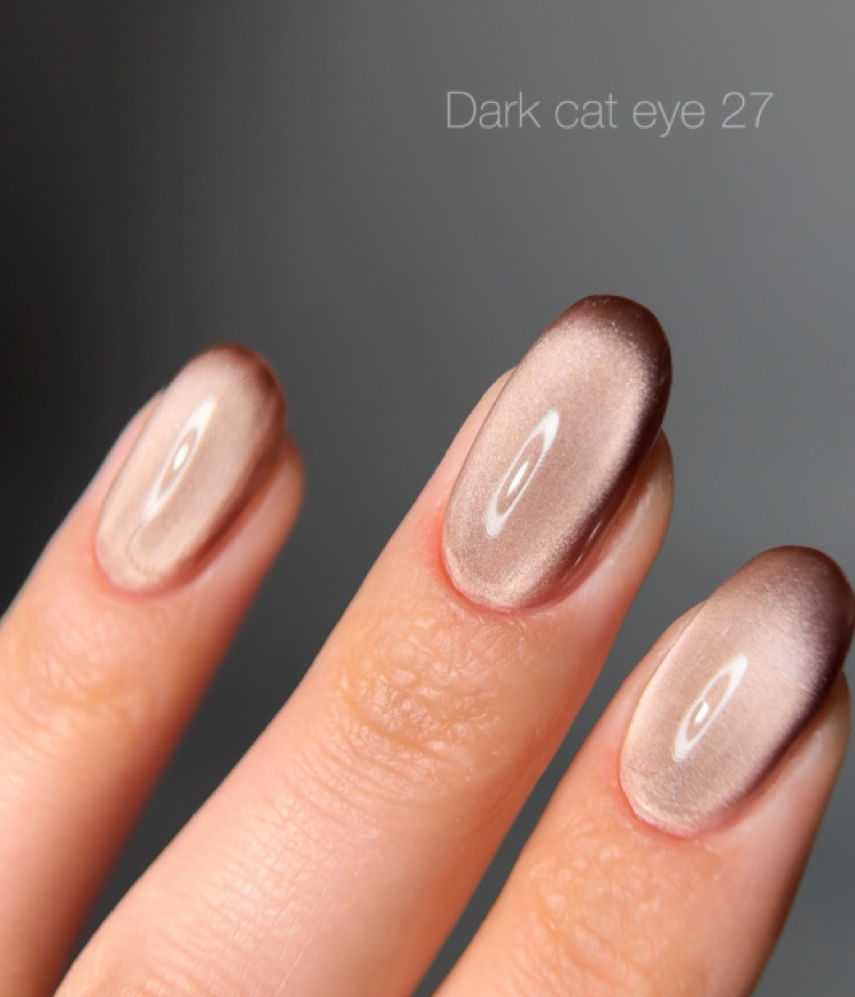 Гел лак Dark Cat Eye №27 10 мл