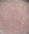 Гел за изграждане Dark Medium Gel №44 15 мл