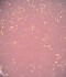 Гел за изграждане Dark Medium Potal Gel №05 15 мл