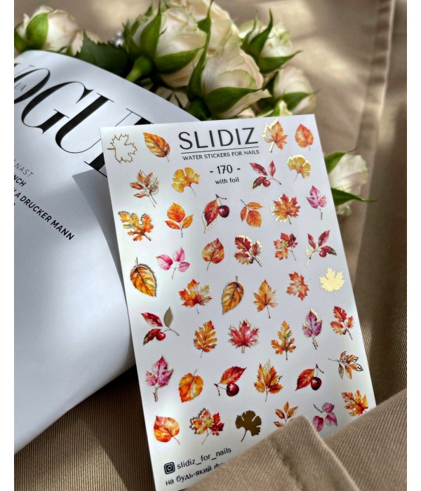 Слайдер Slidiz №170