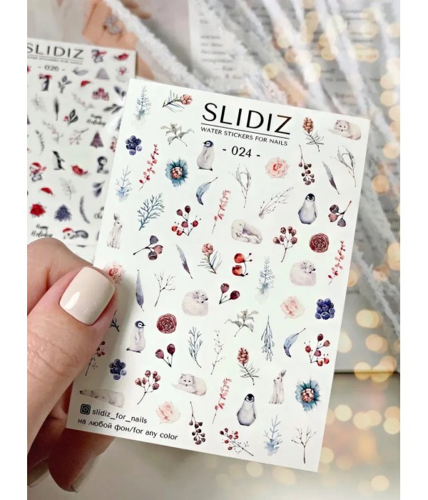 Слайдер Slidiz №024