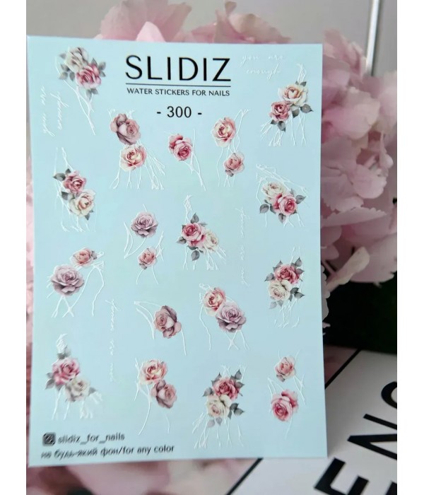 Слайдер Slidiz №300