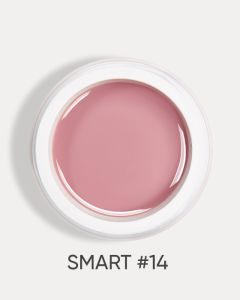 Гел за изграждане Dark Smart Gel №14 22 мл